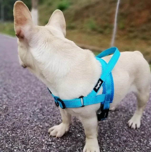 Adjustable Dog Walking Harness