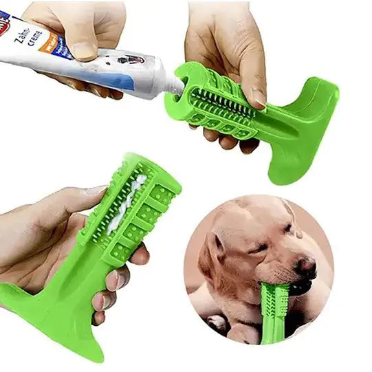 Teether Pet Toothbrush
