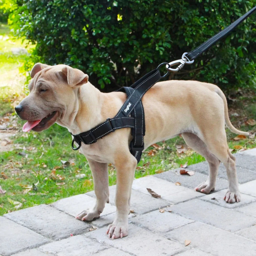 Adjustable Dog Walking Harness