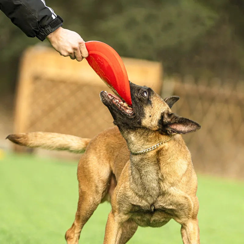 Rubber Dog Flying Disc